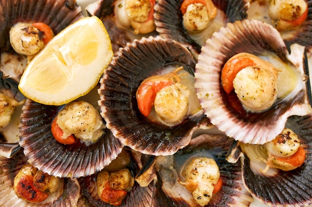 Scallops: The Ultimate Guide to Perfect Cooking