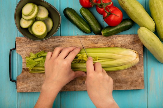 Zucchini and Squash Recipes: Easy and Delicious Ways to Cook Them