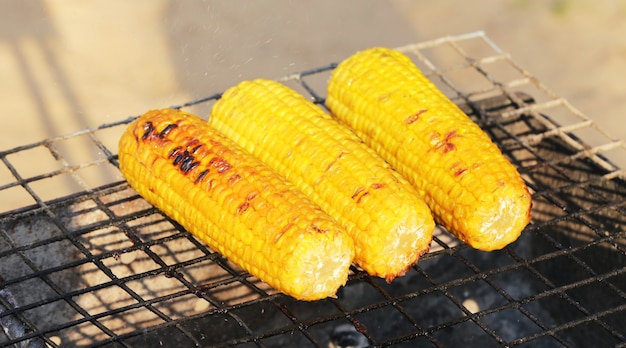 Oven-Baked Corn on the Cob: The Ultimate Guide