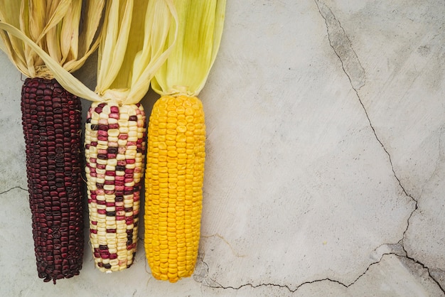 How to Cook <a href=https://www.tgkadee.com/Healthy-Meals/Corn-on-the-Cob-The-Ultimate-Guide-to-Perfectly-Cooked-Ears.html target=_blank class=infotextkey>fresh corn on the cob</a>: The Ultimate Guide