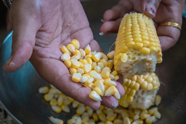 Corn on the Cob: The Ultimate Guide to Perfectly Cooked Ears