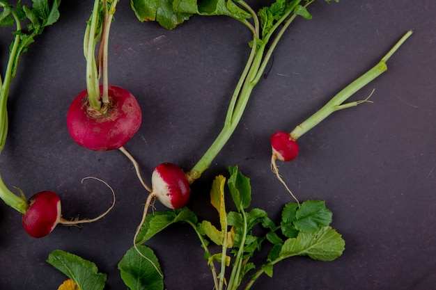 The Ultimate Guide to Cooking Fresh Beets: Delicious Recipes and Tips