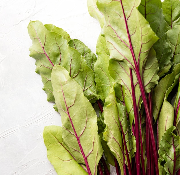 Swiss Chard Recipes: Delicious and Easy Ways to Cook This Versatile Green