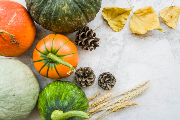 Acorn Squash Cooking Time: The Perfect Guide