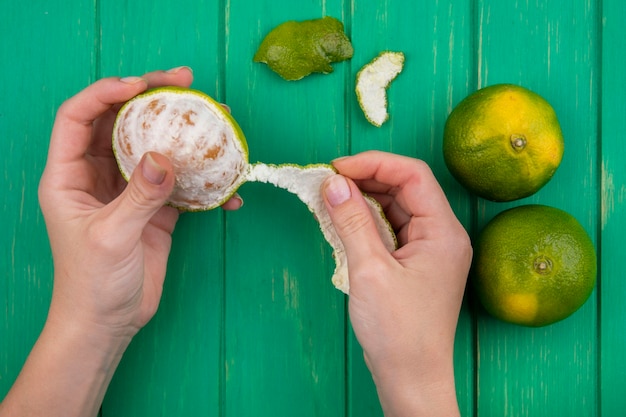 The Ultimate Guide to Cooking Jackfruit: Delicious Recipes and Tips