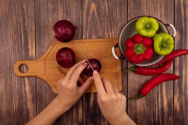 Tomatillo Cooking Guide: From Raw to Delicious Dishes