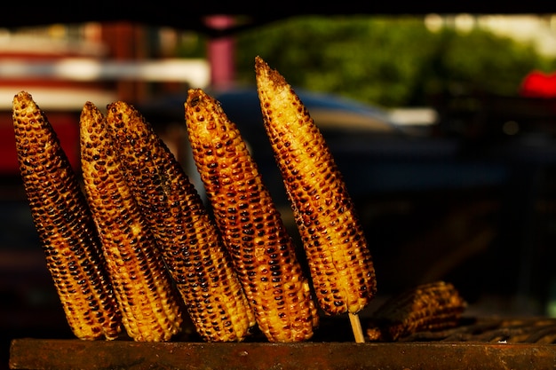 Grilled Corn on the Cob: The Ultimate Guide