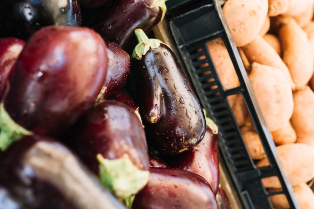 Grilled Oriental Eggplant: A Delicious and Easy Recipe