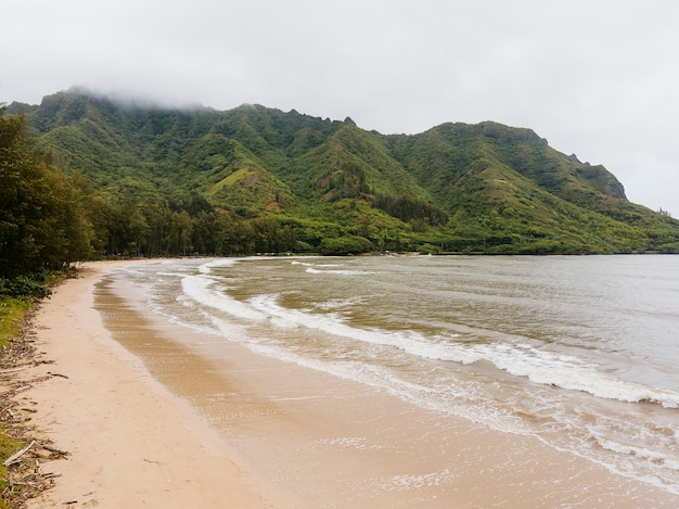 Cook Islands: Location, Map, and Travel Guide