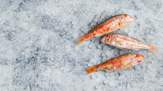 How to Cook Frozen Crab Legs: A Simple Guide