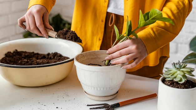 Fiddlehead Fern Recipes: How to Cook Them Perfectly