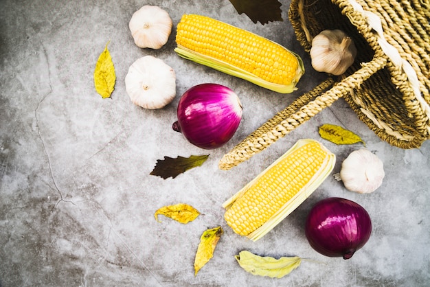 Corn <a href=https://www.tgkadee.com/Healthy-Meals/How-Long-to-Cook-Drumsticks-at--Degrees-Fahrenheit.html target=_blank class=infotextkey>cooking time</a>: How Long to <a href=https://www.tgkadee.com/Cooking-Tips/Corn-on-the-Cob-The-Ultimate-Guide-to-Perfect-Grilled-Boiled-and-More.html target=_blank class=infotextkey>cook corn</a> on the Cob, in the Oven, and More