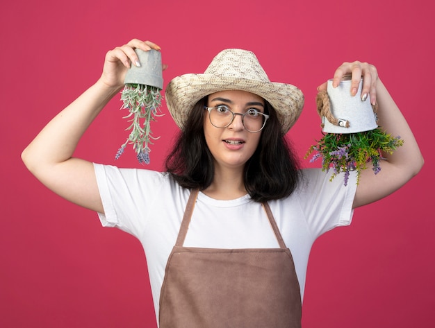 Cactus Cooking: Delicious Recipes and Tips