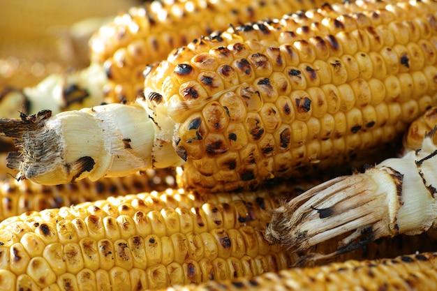 Corn on the Cob Oven Cooking Time: Perfect Guide