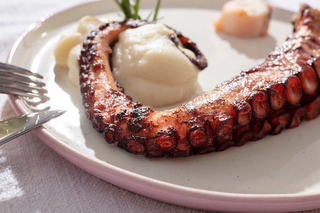 The Ultimate Guide to Cooking Polish Kielbasa: Delicious Recipes and Tips