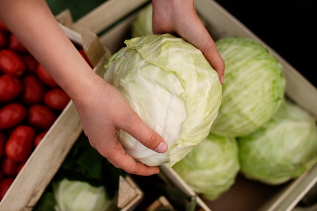 Cabbage Cooking Times: How Long to Cook Cabbage Perfectly