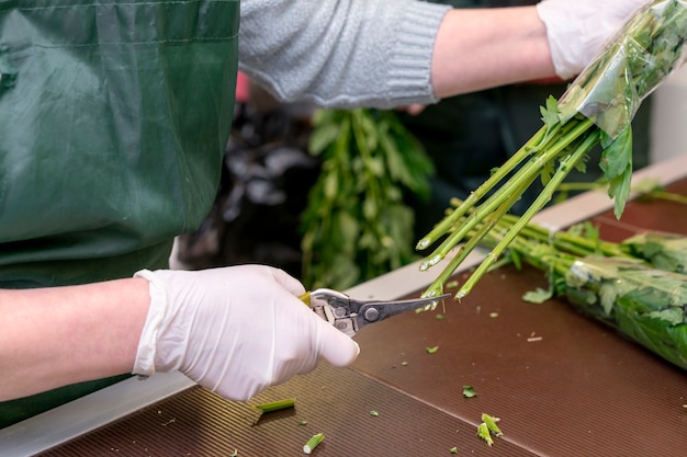 Asparagus on the Stovetop: A Simple and Delicious Recipe