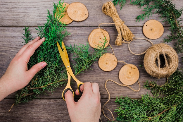 Fennel Cooking Guide: Easy Recipes and Tips