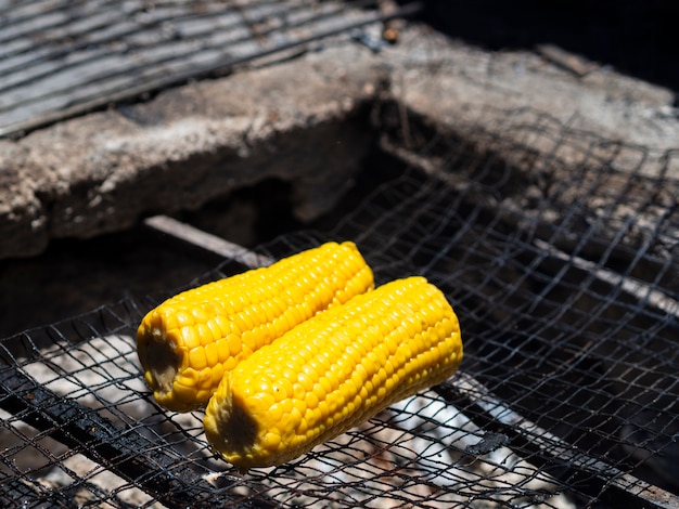 Grill <a href=https://www.tgkadee.com/Healthy-Meals/Corn-on-the-Cob-The-Ultimate-Guide-to-Perfectly-Cooked-Ears.html target=_blank class=infotextkey>corn on the cob</a> to Perfection: The Ultimate Guide