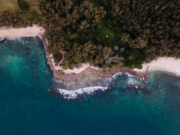 Cook Islands: Location, Travel Guide, and Things to Do