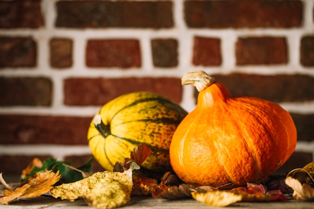 Oven-Roasted Acorn Squash: The Ultimate Guide