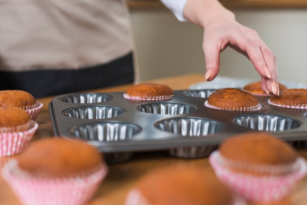 Cupcake Baking Time at <a href=https://www.tgkadee.com/Cooking-Tips/Cornish-Hen-Cooking-Time-at--Degrees-Fahrenheit.html target=_blank class=infotextkey>350 degrees fahrenheit</a>