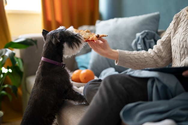 Dog Food Recipes: Healthy Homemade Meals Your Pup Will Love